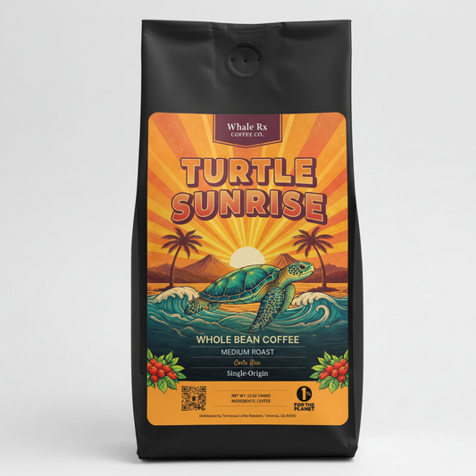 Turtle Sunrise (Costa Rica)